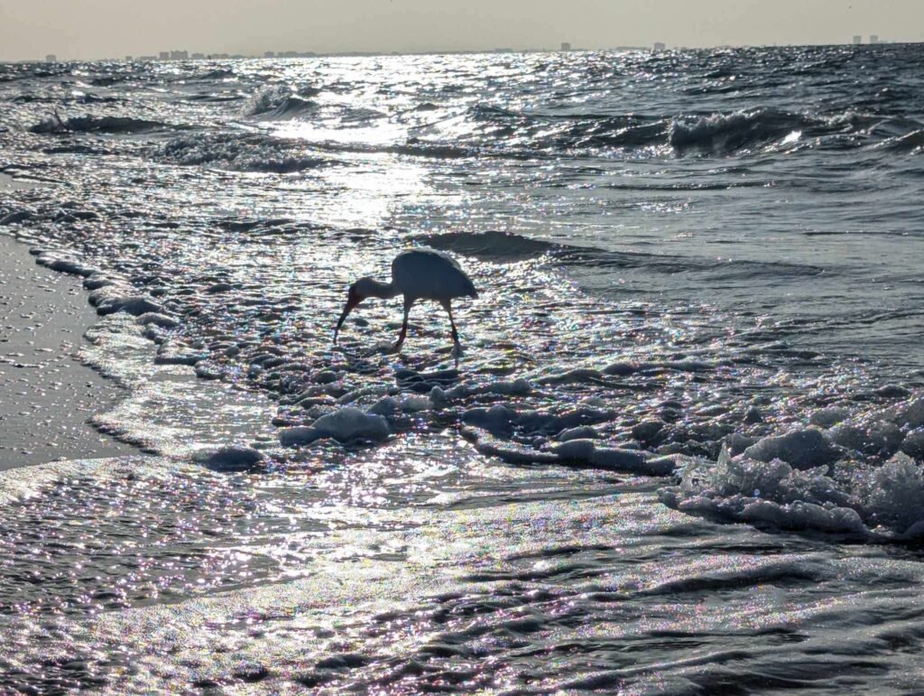 bwbeach