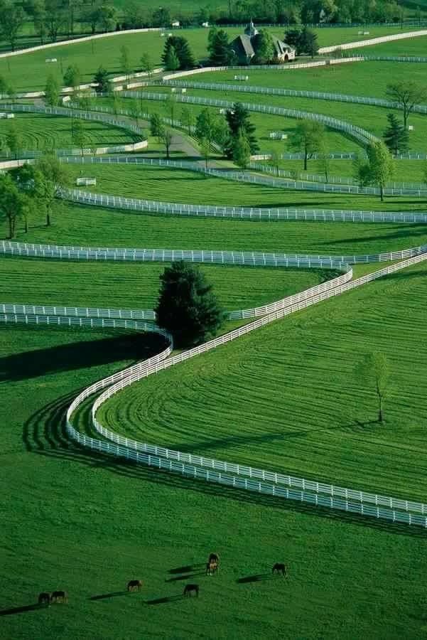 horse farms